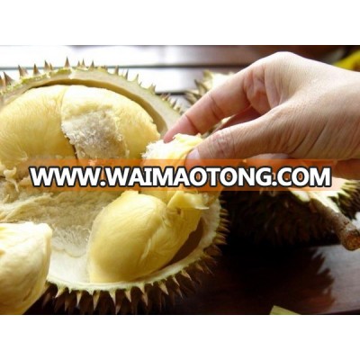 High Quality Fresh Fruit For Sale From Thailand Monthong Durian